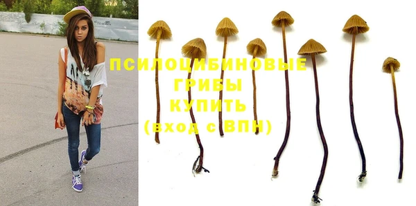 эйфоретик Армянск