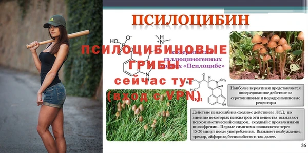 мяу мяу мука Арсеньев
