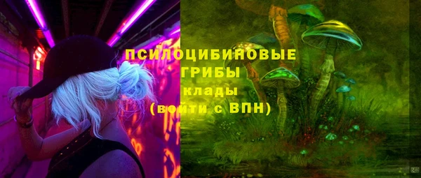 мяу мяу мука Арсеньев