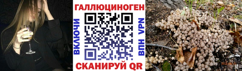 Галлюциногенные грибы ЛСД  кракен маркетплейс  Орлов 