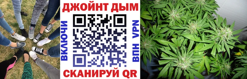 Конопля индика Орлов
